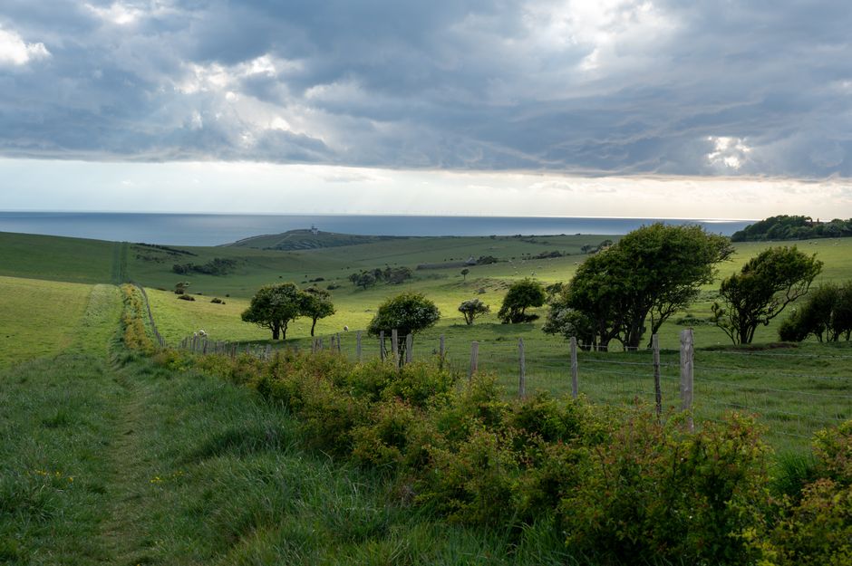 england — Peaceful landscape of rolling hills, trees, and sea in England under a cloudy sky.