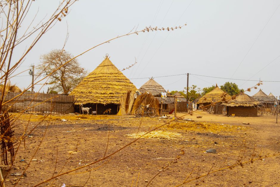 senegal — Explore traditional nipa huts in a rural Senegal village, showcasing a serene countryside setting.