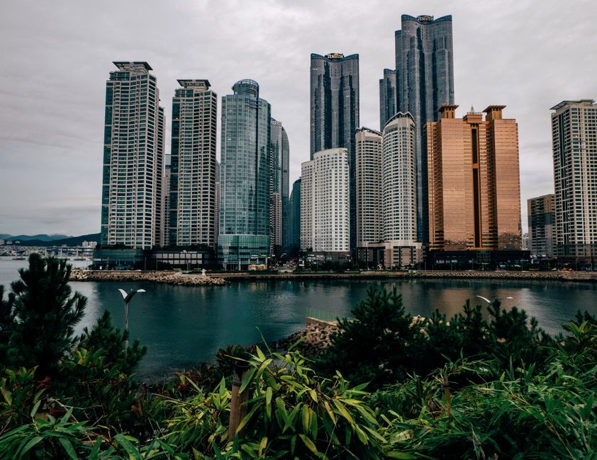 south korea — A breathtaking view of urban skyscrapers reflecting in a serene waterfront, showcasing modern archit